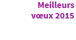 meilleurs vœux