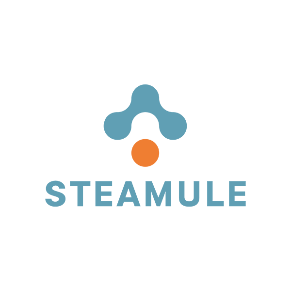 Steamule